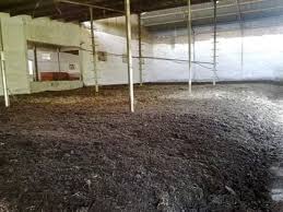 Large Indoor Earthworm Rearing Shed Facility Layout