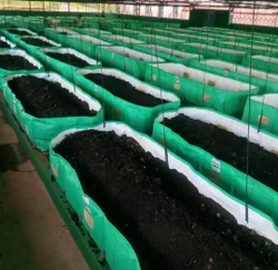 Multi-Tiered Commercial Vermicomposting Production Line